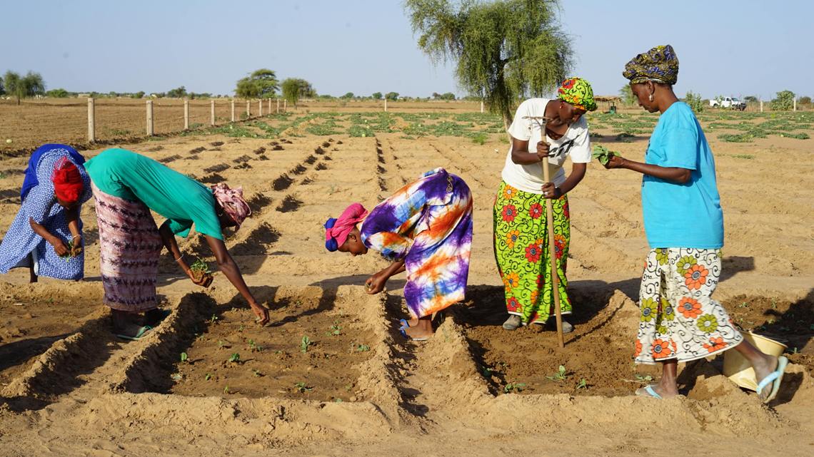 20180416_diario-dal-Senegal-donne-del-progetto-Otto-per-Mille-Valdese_2