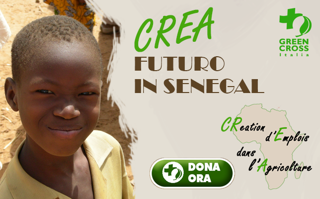 Crea-futuro-in-Senegal_donazioni-progetti-Africa